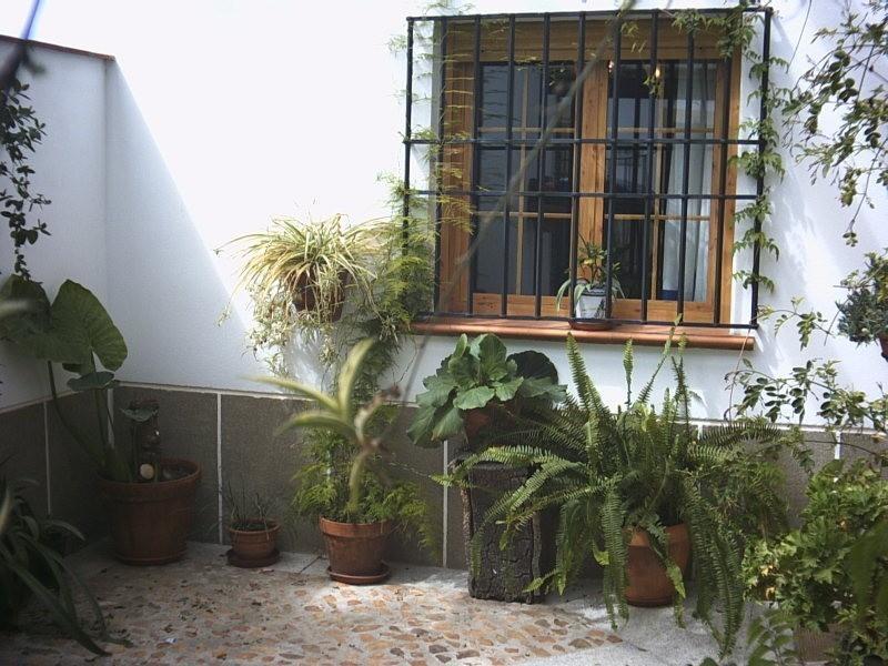 Casa Rural La Brena Talaván Esterno foto