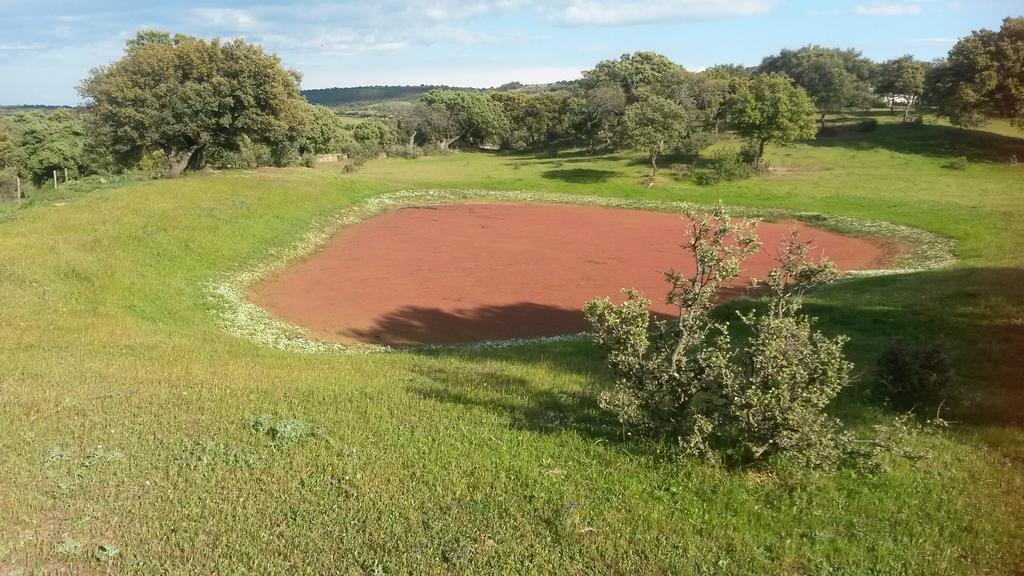 Casa Rural La Brena Talaván Esterno foto